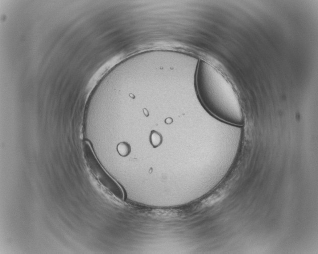 X0000052540954200507221422