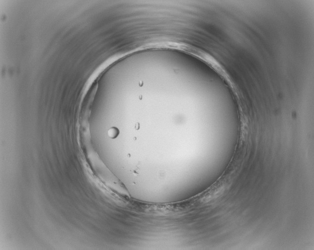 X0000052540955200507221422