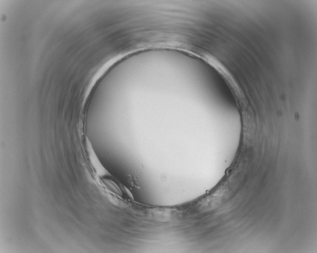 X0000052540956200507221422