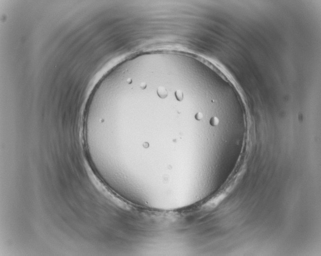 X0000052540957200507221422