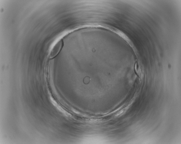 X0000052540958200507221422