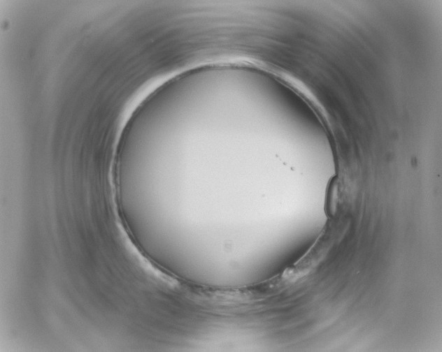 X0000052540959200507221422