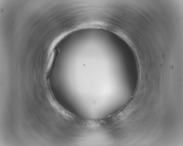 X0000052540960200507221422