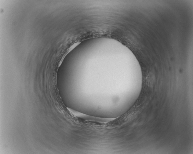 X0000052540961200507221422