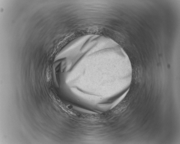 X0000052540962200507221421