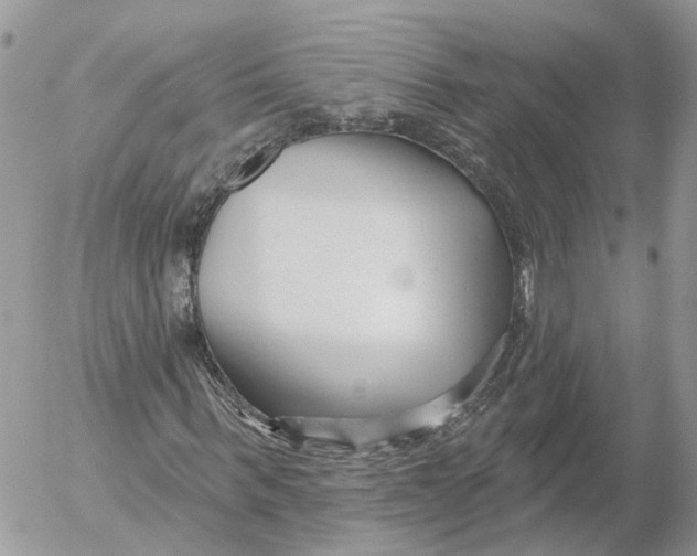 X0000052540963200507221421