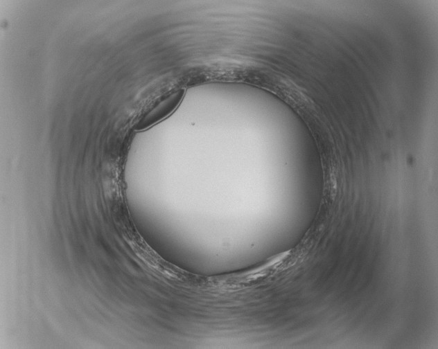 X0000052540964200507221421