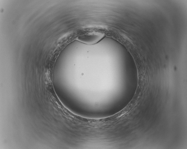 X0000052540965200507221421