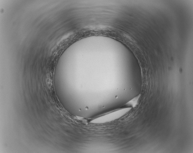 X0000052540966200507221421