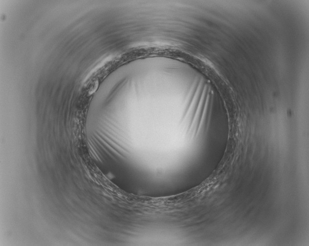 X0000052540967200507221421