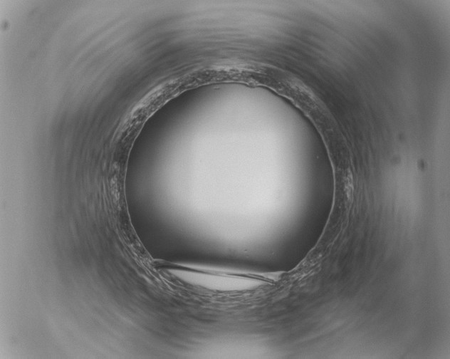 X0000052540968200507221421