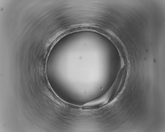 X0000052540969200507221421