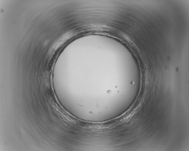 X0000052540970200507221421