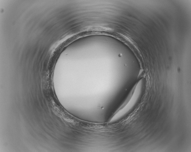 X0000052540971200507221421