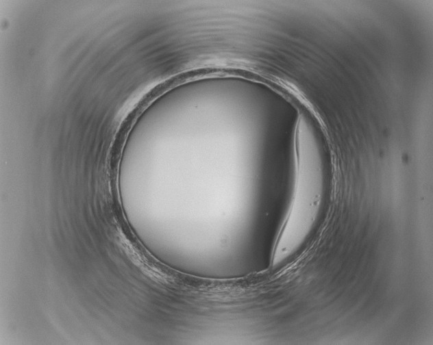 X0000052540972200507221421