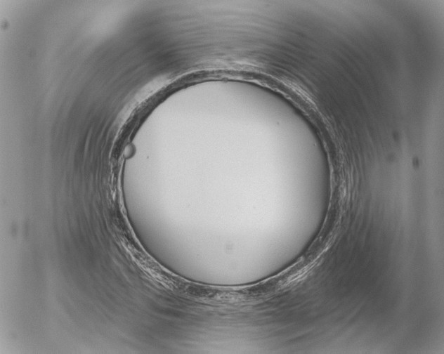 X0000052540974200507221421