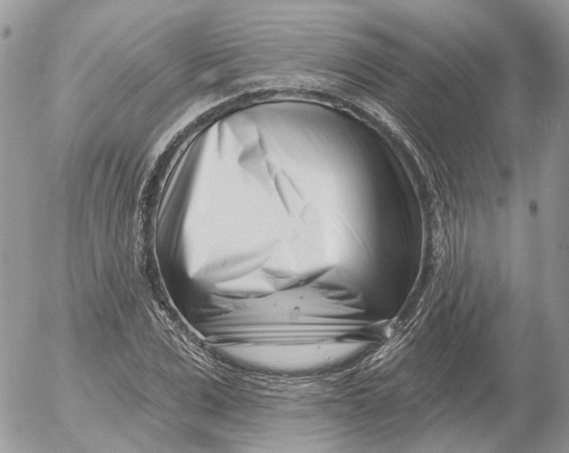 X0000052540975200507221421