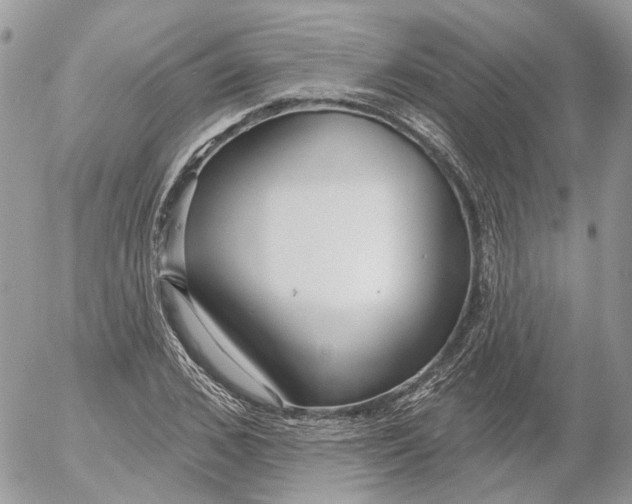 X0000052540976200507221421