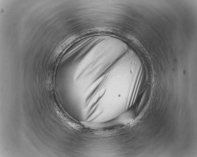 X0000052540977200507221421