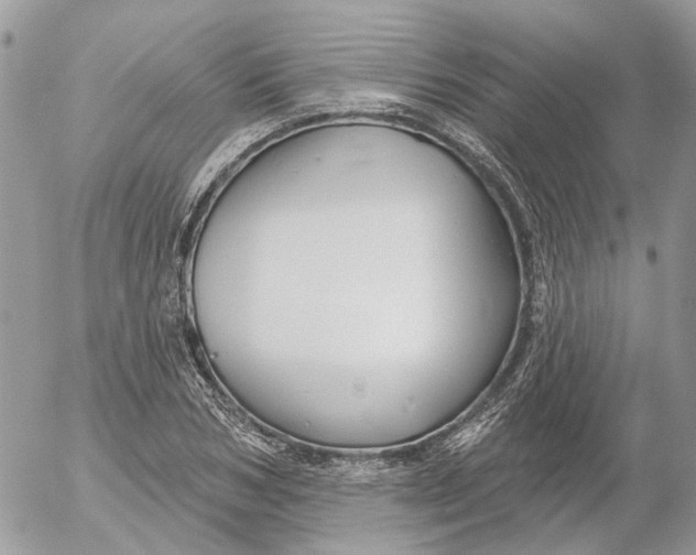 X0000052540978200507221421