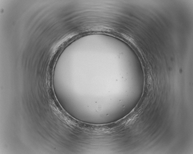 X0000052540979200507221421