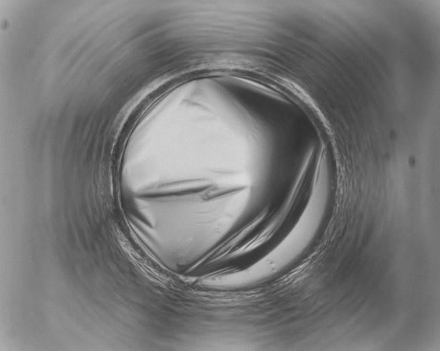 X0000052540980200507221421