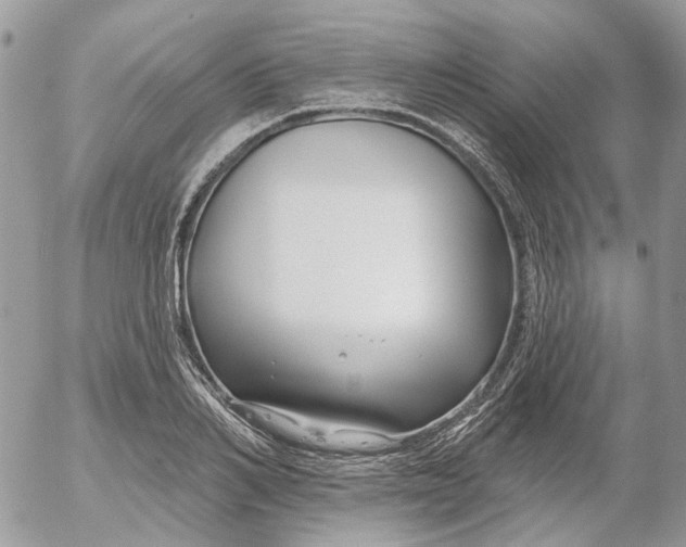 X0000052540982200507221421