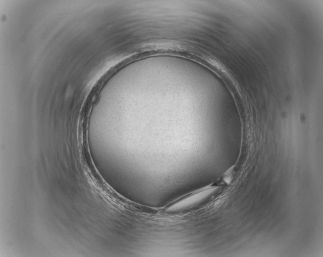 X0000052540983200507221421