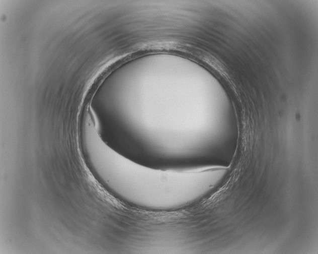 X0000052540984200507221421