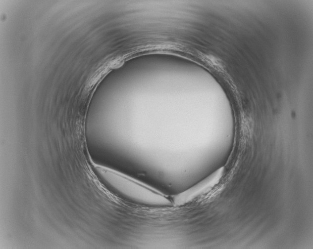 X0000052540985200507221421