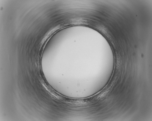 X0000052540986200507221421