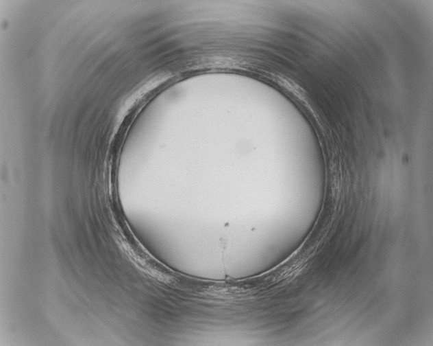 X0000052540987200507221421