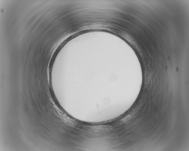 X0000052540988200507221421