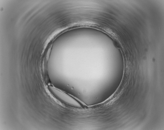 X0000052540989200507221421