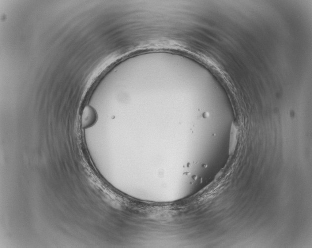 X0000052540990200507221421