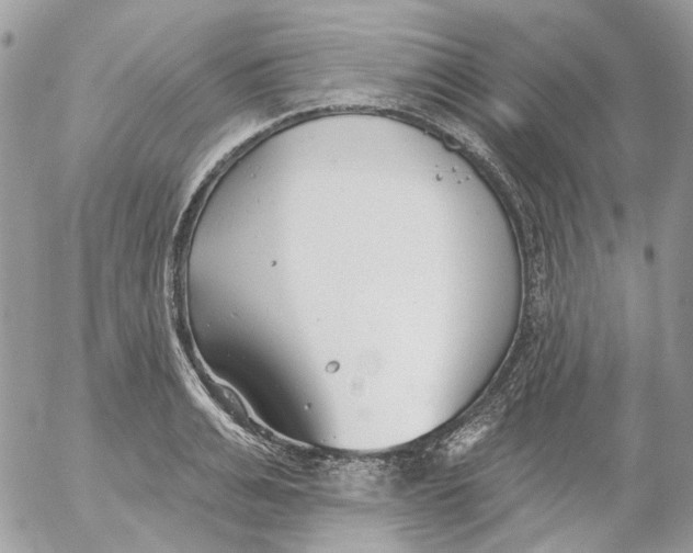 X0000052540991200507221421