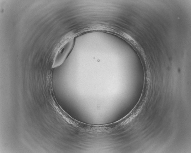 X0000052540993200507221421