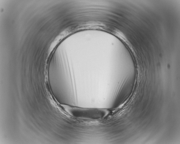 X0000052540994200507221421