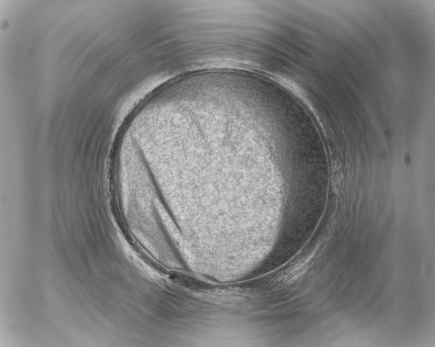 X0000052540995200507221421