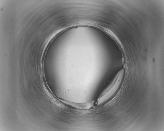 X0000052540996200507221421