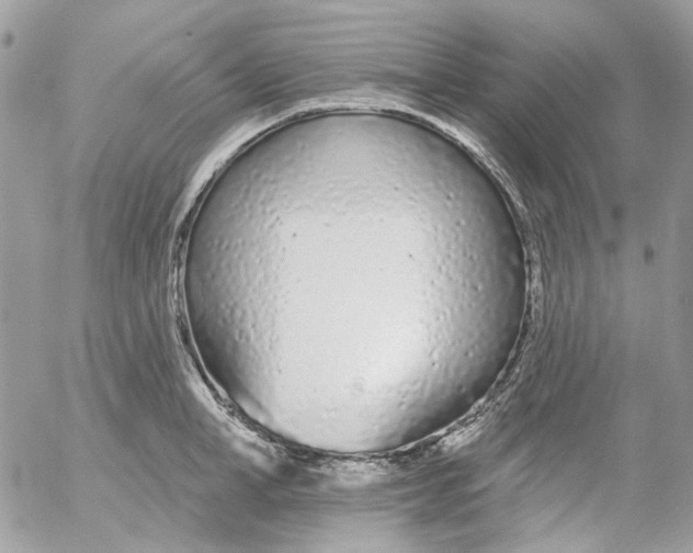 X0000052540998200507221421