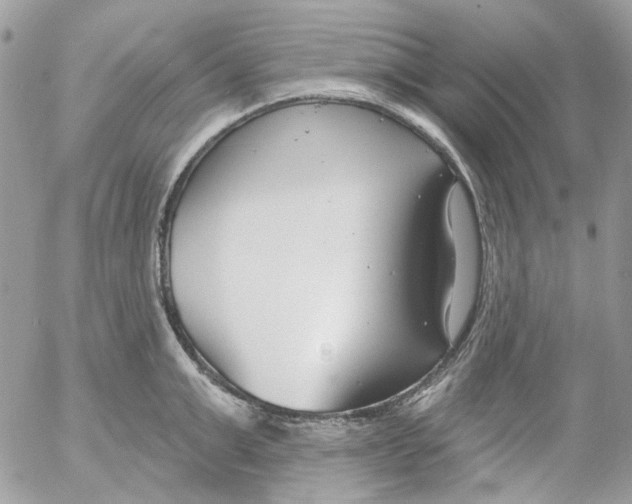 X0000052540999200507221421