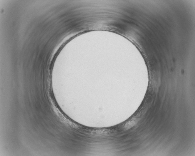 X0000052541000200507221421