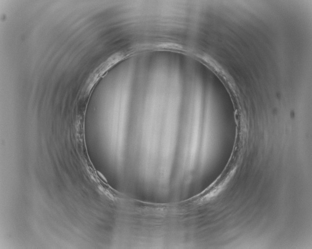 X0000052541001200507221421