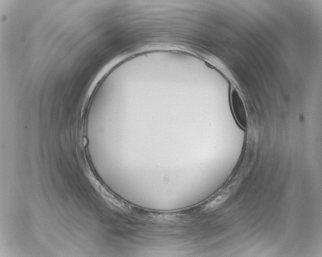 X0000052541004200507221421