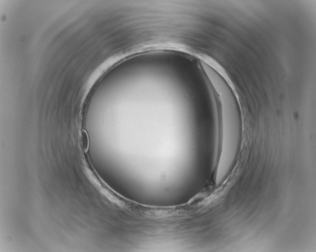 X0000052541005200507221421