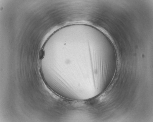 X0000052541006200507221421