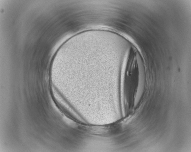 X0000052541007200507221421