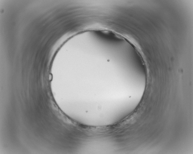 X0000052541008200507221421