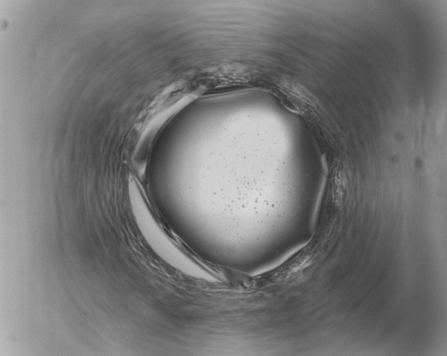 X0000052541010200507221420